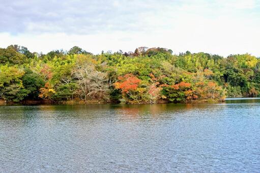 湖の色づき始めた初秋の風 湖面,初秋,色づき始めの写真素材