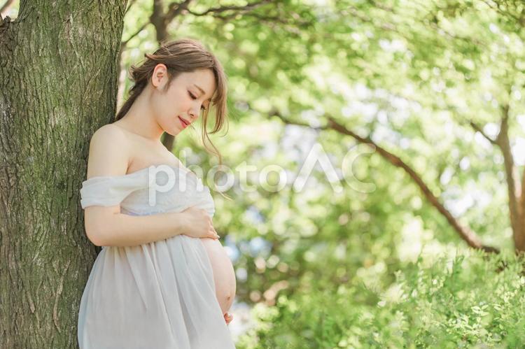 マタニティフォトの撮影をする妊婦の女性 妊婦,妊娠,マタニティフォトの写真素材
