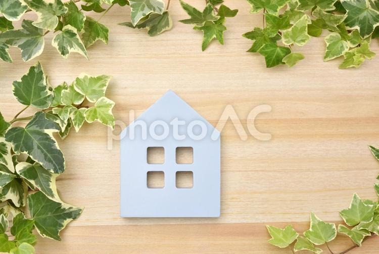 住宅のイメージ　ミニチュアの家とアイビー 家,不動産,住宅の写真素材