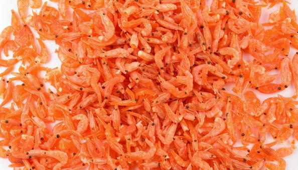 干し海老の写真