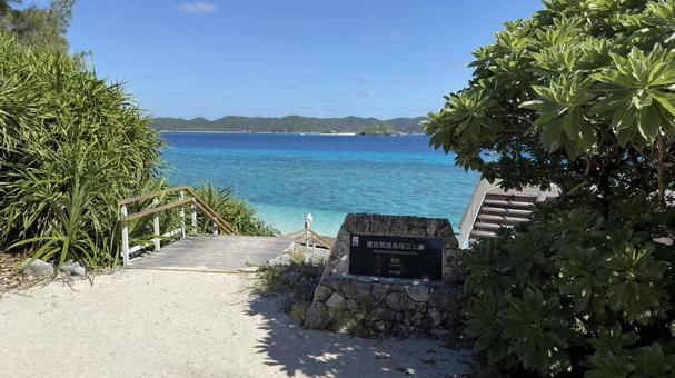 沖縄　慶良間諸島　阿嘉島 沖縄,慶良間諸島,阿嘉島の写真素材