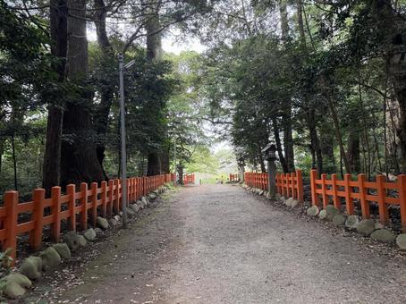 香取神宮 参道 香取神宮 参道 香取神宮,神社,千葉県の写真素材