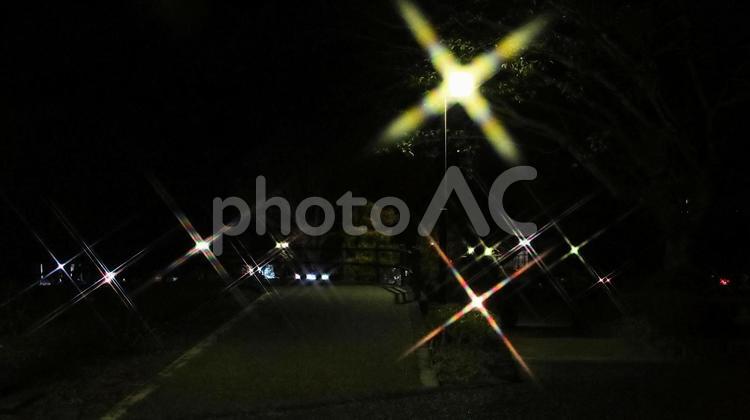 早春の岩本山公園の外灯 夕景,夜景,外灯の写真素材