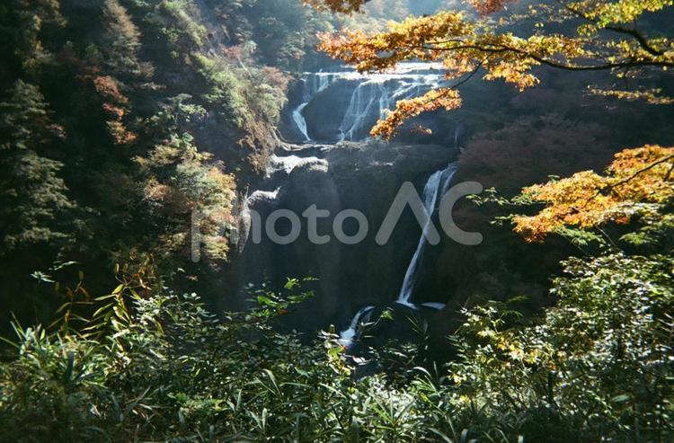 フィルムカメラで撮った袋田の滝 フィルムカメラ,袋田の滝,茨城県の写真素材