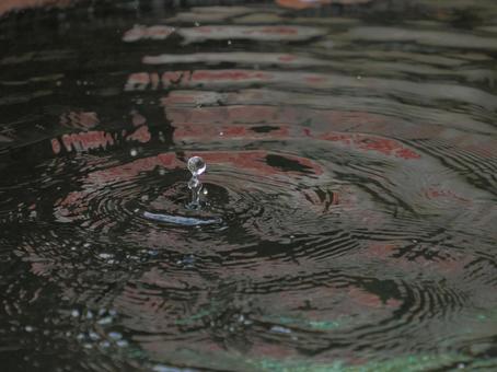 しずく＿波紋 雫,波紋,涼し気の写真素材