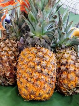 パイナップル パイナップル,トロピカルフルーツ,果物の写真素材