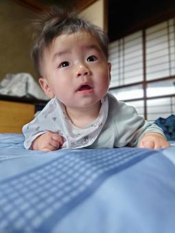 うつ伏せでキョトン顔の赤ちゃん(5カ月) うつ伏せでキョトン顔の赤ちゃん(5カ月) 赤ちゃん,うつ伏せ,乳児の写真素材