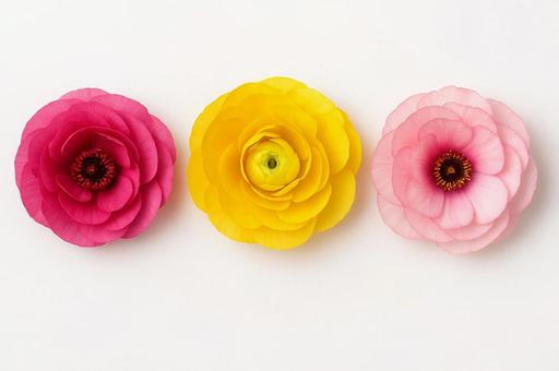 花 3個並び 花 3個並びの写真