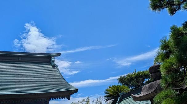 日本建築の屋根と松 夏空に映える風景 日本建築の屋根と松 夏空に映える風景 神社,夏空,青空の写真素材