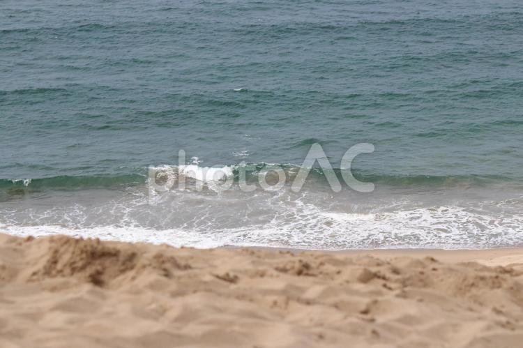 砂丘と日本海 鳥取砂丘,鳥取,砂丘の写真素材