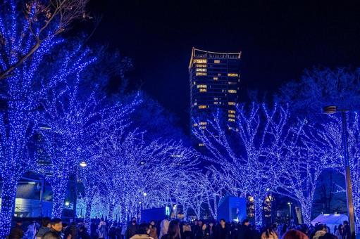 青の洞窟 青の洞窟 青の洞窟,イルミネーション,イベントの写真素材