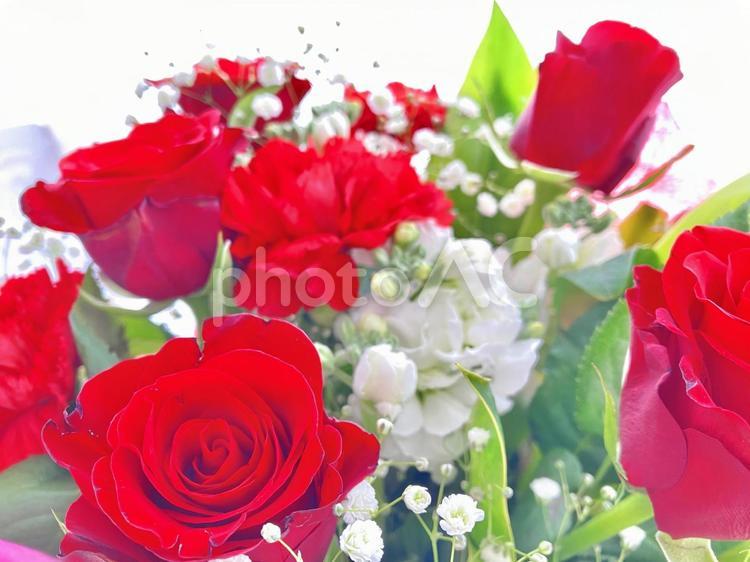 薔薇とカーネーション バラ,スイトピー,ピンクの写真素材