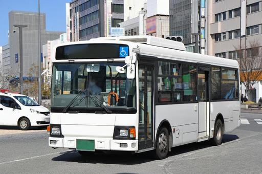 路線バス　白 夜行バス,高速バス,旅行の写真素材