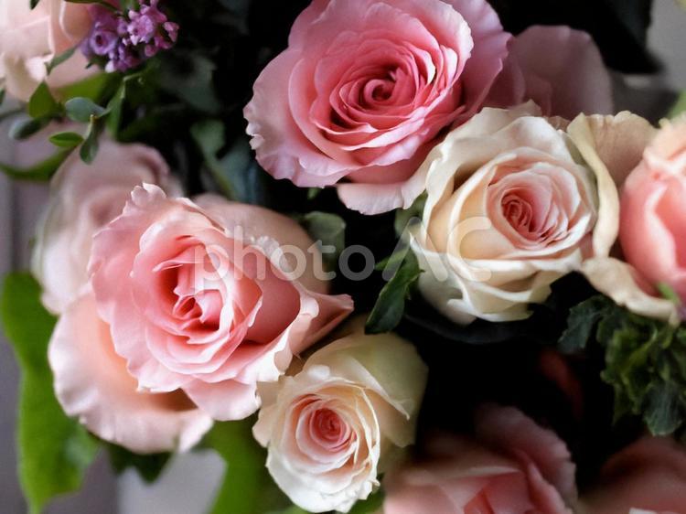 薄いピンクの薔薇のフラワーアレジメント バラ,薄ピンク,花の写真素材