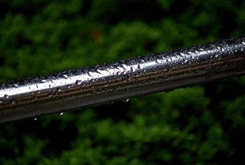 秋雨の雨滴 雨滴,水,しずくの写真素材