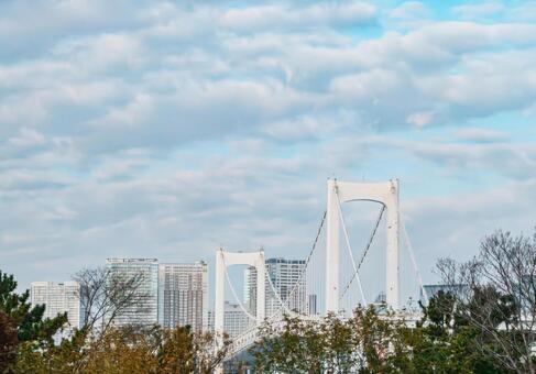 レインボーブリッジ レインボーブリッジ,白,橋の写真素材