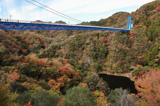 竜神大吊橋 竜神大吊橋,紅葉,秋の写真素材