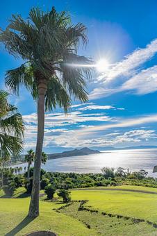 鹿児島　開聞山麓自然公園（トカラ馬牧場） 開聞山麓自然公園,トカラ馬牧場,開聞岳の写真素材