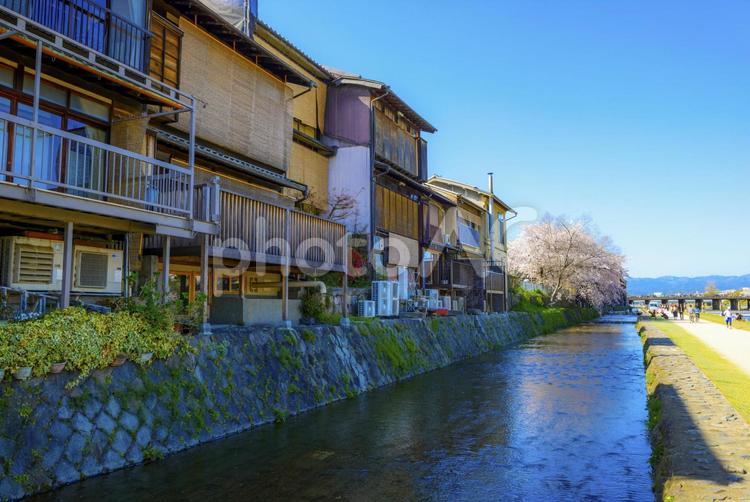 桜と京都の街並みの風景 京都,京都府,観光の写真素材