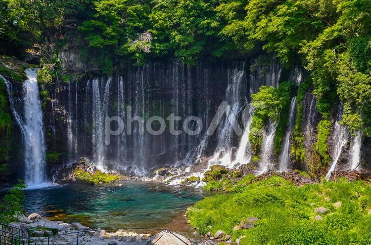 白糸の滝（静岡県富士宮市）2 白糸の滝,滝,落下の写真素材
