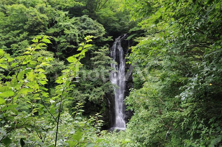 大滝 滝,大滝,自然の写真素材