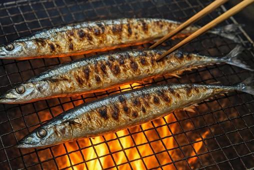 サンマの塩焼き 秋の味覚 サンマの塩焼き 秋の味覚の写真