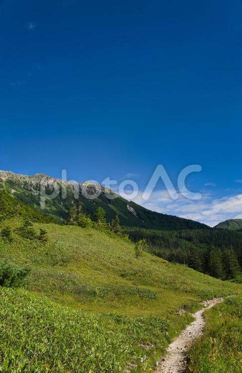 北アルプス　登山　高天原山荘　水晶岳 縦走,レジャー,夏山の写真素材