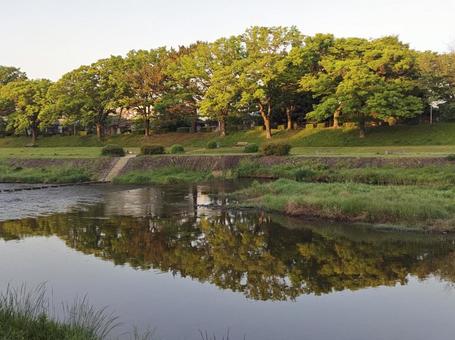 鴨川の風景 鴨川の風景の写真