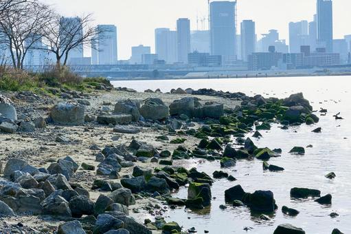 淀川 淀川 淀川,ビル,景色の写真素材