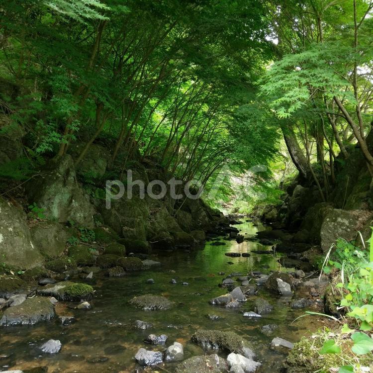 小川の風景 川,山,グリーンの写真素材