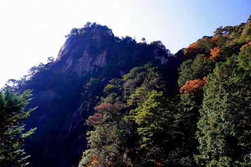 山頂を覆う森と岩壁 山,岩,岩山の写真素材