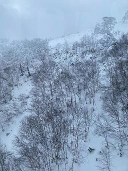 雪山の木々 樹氷,雪山,冬の写真素材