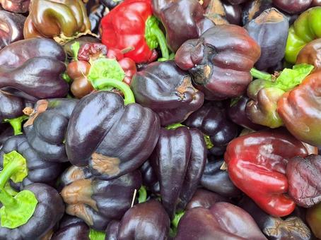 Black bell pepper, JPG
