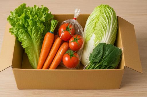 段ボールに詰められた野菜のセット 段ボールに詰められた野菜のセットの写真