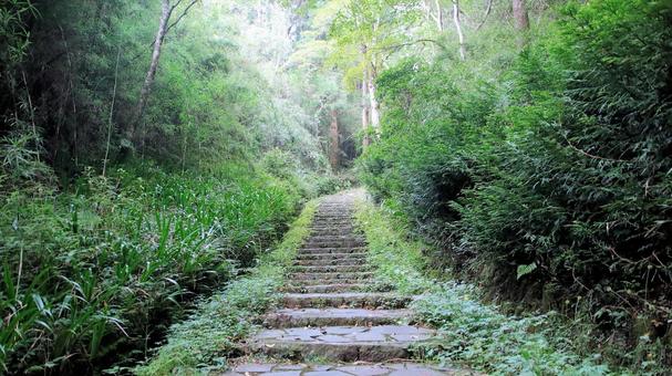 恩賜箱根公園の二百階段 恩賜箱根公園の二百階段の写真