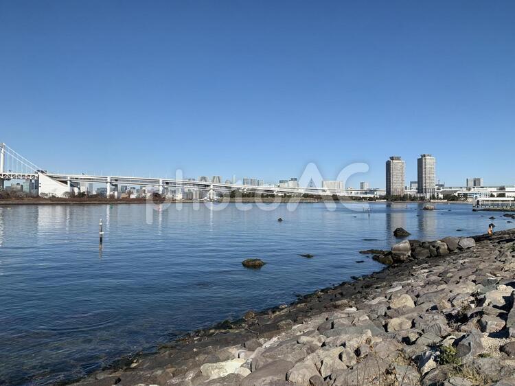 お台場の海 レインボーブリッジ,お台場,東京湾の写真素材