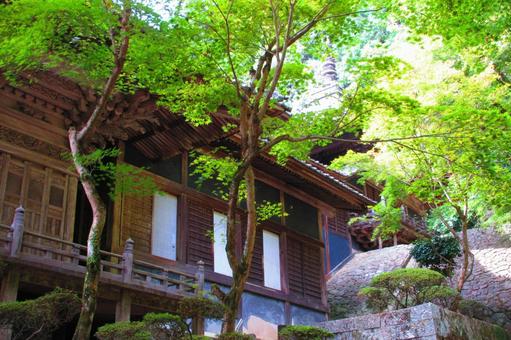 徳島県-箸蔵寺-護摩殿 徳島県-箸蔵寺-護摩殿の写真