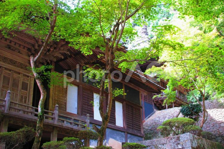 徳島県-箸蔵寺-護摩殿 箸蔵寺,寺,宝珠山の写真素材