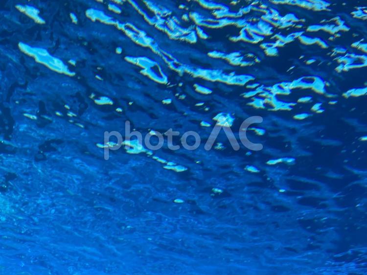 水中から水面を見上げる 海,海中,水中の写真素材
