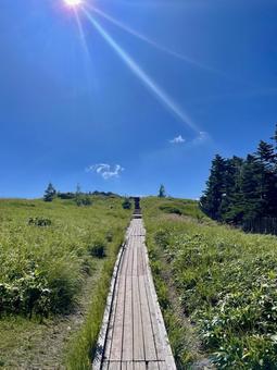 夏の美ヶ原、山頂へ向かう一本道 夏の美ヶ原、山頂へ向かう一本道の写真
