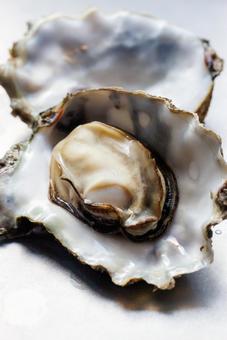 Photo, oyster, shell, seafood, 
