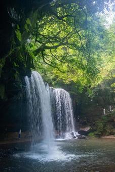 熊本県　夏の鍋ヶ滝 熊本県,熊本,絶景の写真素材