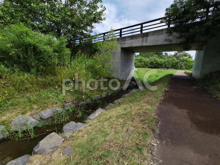 公園の小川と高架橋 橋,風景,水域の写真素材