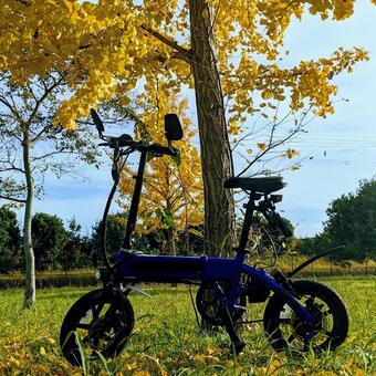 小型電動バイク（晩秋） 小型電動自転車,小型電動バイク,紅葉の写真素材