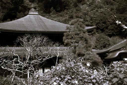 瑞泉寺ー鎌倉ー神奈川県 瑞泉寺ー鎌倉ー神奈川県の写真
