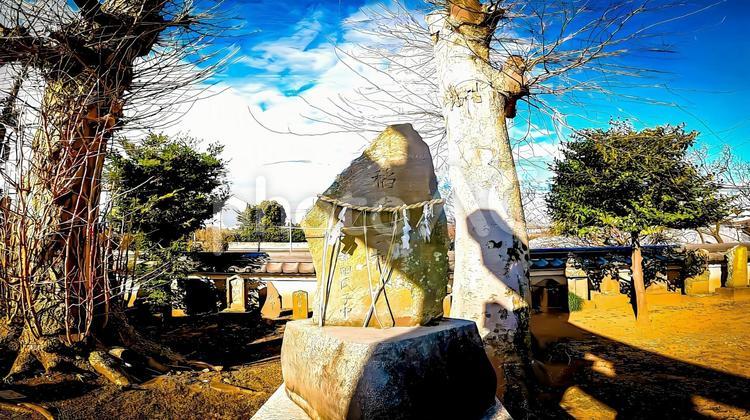 香取駒形神社の境内社　稲荷大神 石の祠,石神,紙垂の写真素材