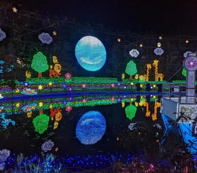 フラワーパークの夜のイルミネーション フラワーパークの夜のイルミネーションの写真