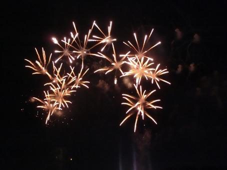 花火 花火の写真
