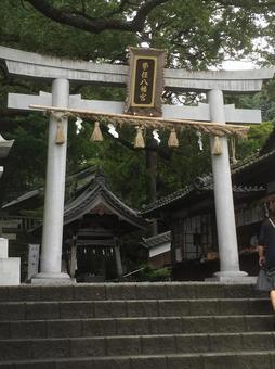 お参り お参り 参拝,パワスポ,japanの写真素材