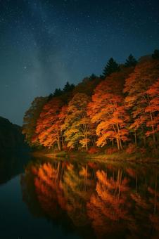 夜の紅葉と自然風景 夜の紅葉と自然風景の写真
